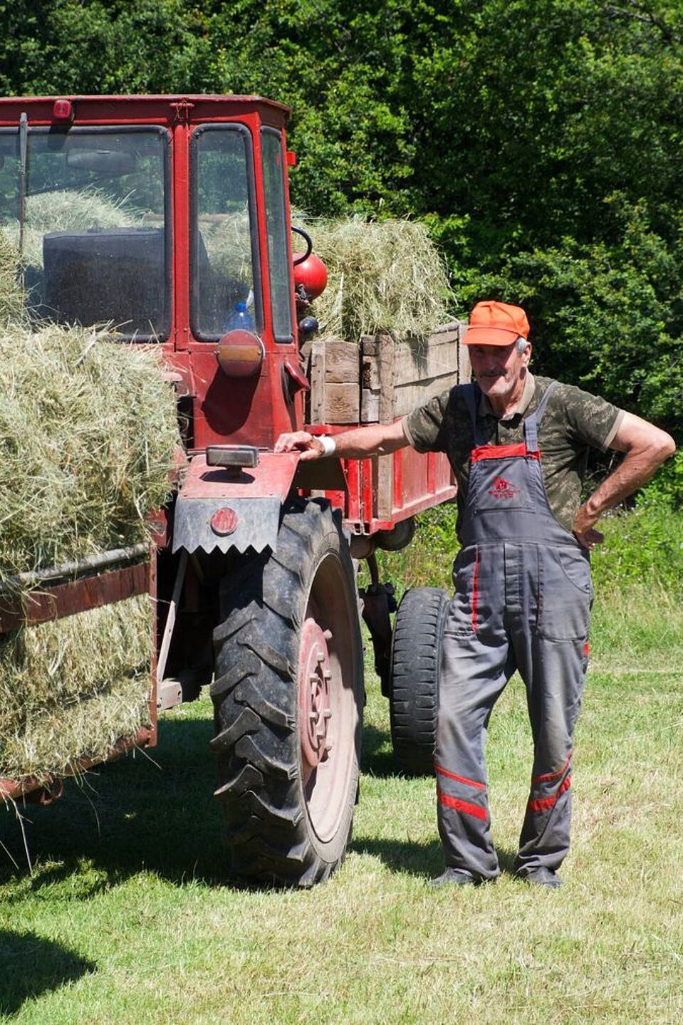 Landwirt in Kardzhali, Bulgarien. Landwirt in Kardzhali, Bulgarien.