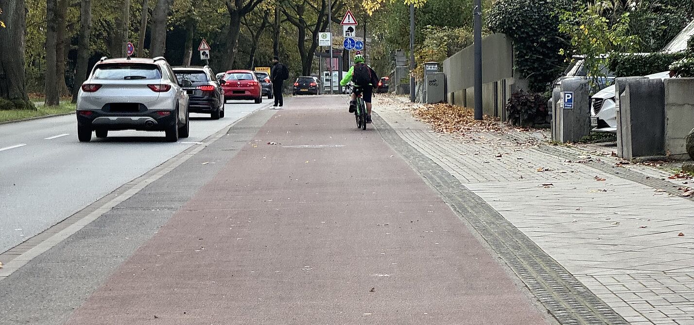 Frisch vom Laub geräumt