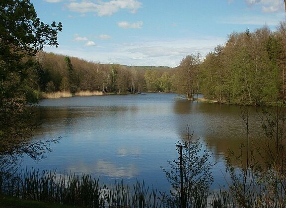 Burbacher Waldweiher