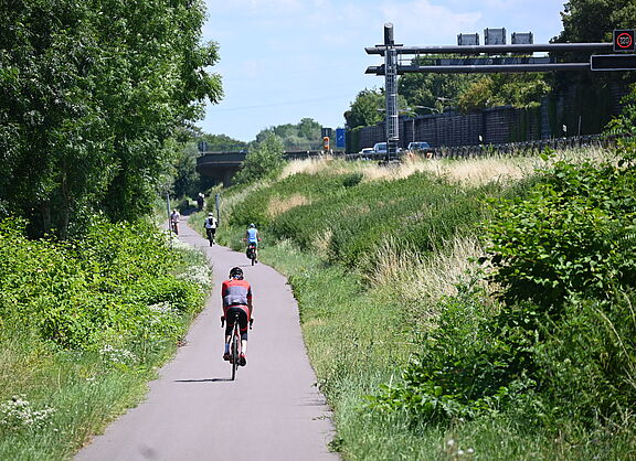 Saar-Radweg mit direkter Sonne