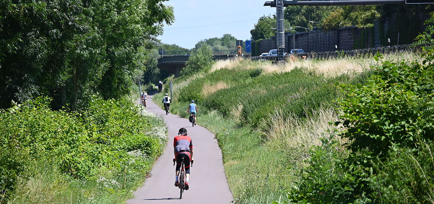 Saar-Radweg-Sonne Saar-Radweg mit direkter Sonne