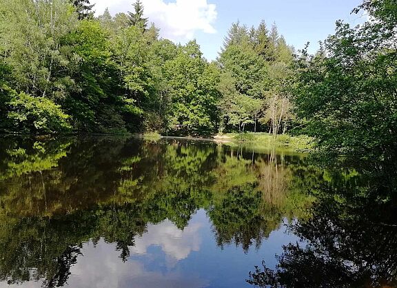 Warndtweiher